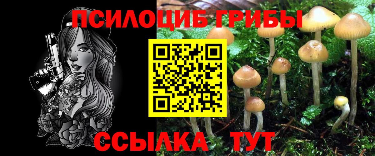 Обь  Псилоцибиновые грибы MAGIC MUSHROOMS  Вход с VPN 