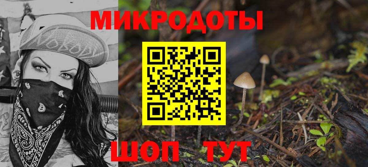 Псилоцибиновые грибы прущие грибы Обь
